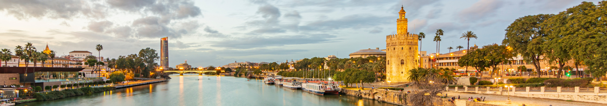 SUS AGENTES INMOBILIARIOS EN SEVILLA. ZITIZEN CONSULTORES INMOBILIARIOS S.L. en Sevilla